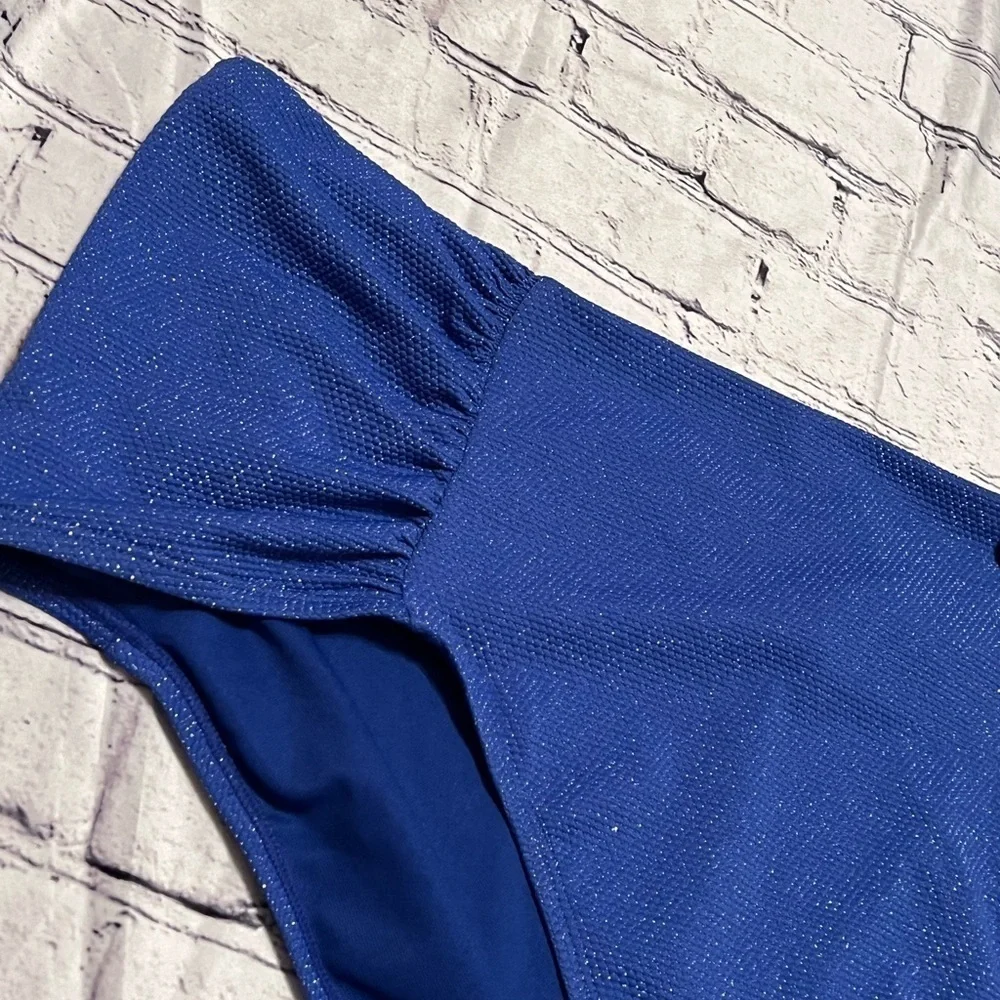 Women’s Time and Tru metallic shiny cobalt blue bikini bottom size 3x (24w-26w)